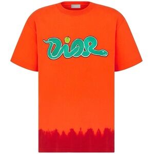 Dior x KAWS “Year of the Snake” T-Shirt – Fall/Winter 2025 🍊🎨